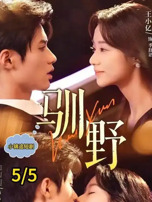 编辑推荐电视剧全集